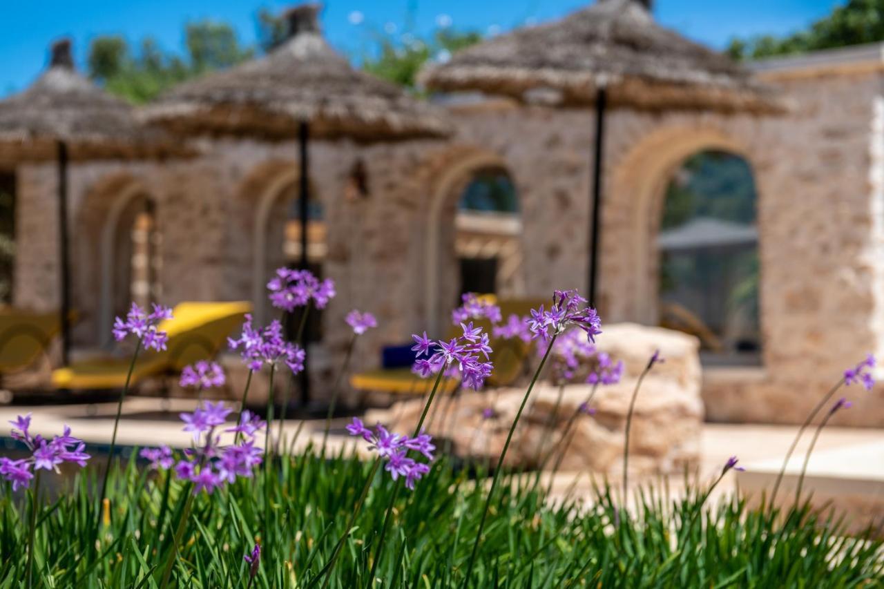 Absolu Beldi Essaouira Bed & Breakfast Ngoại thất bức ảnh